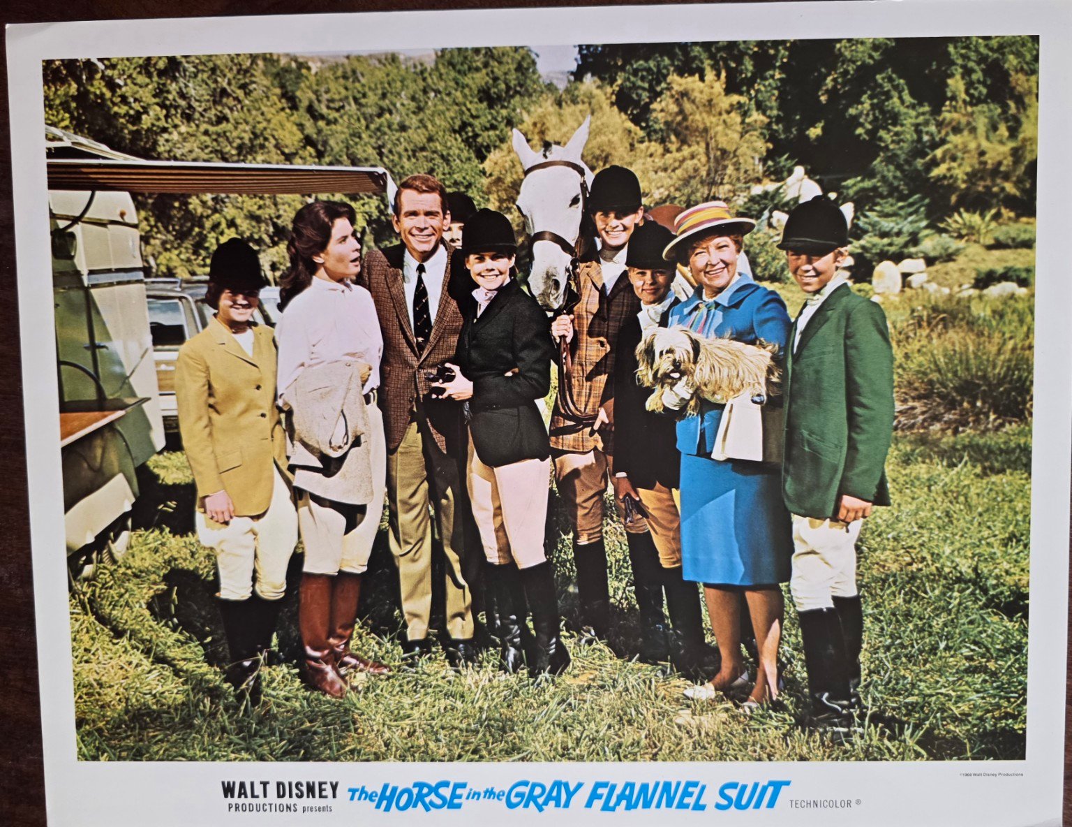 The Horse in the Gray Flannel Suit